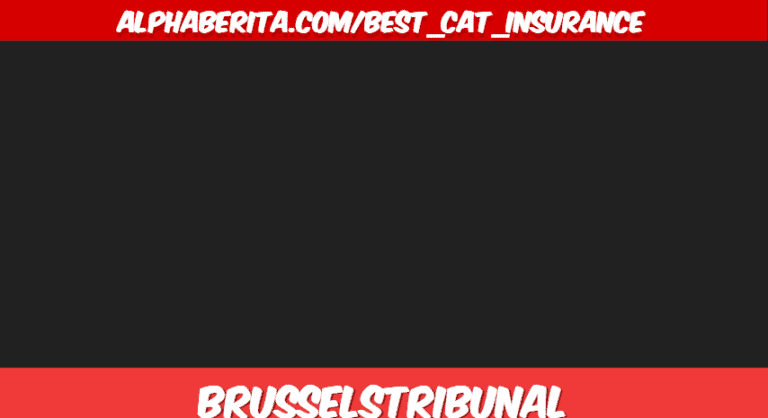 alphaberita.com/best_cat_insurance